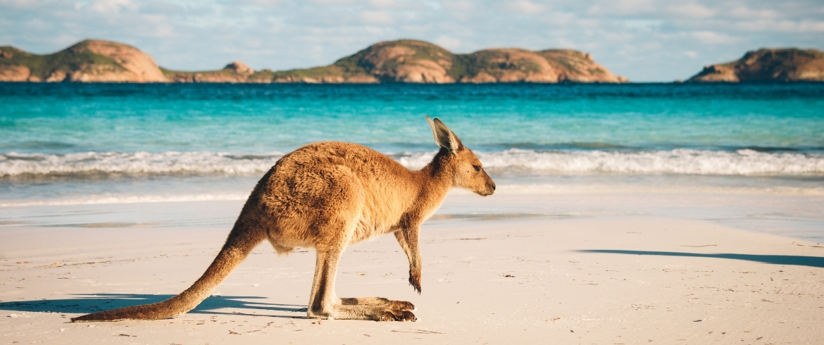 Australia: 6 Ideal Destinations for an Escape into Nature - Ecobnb