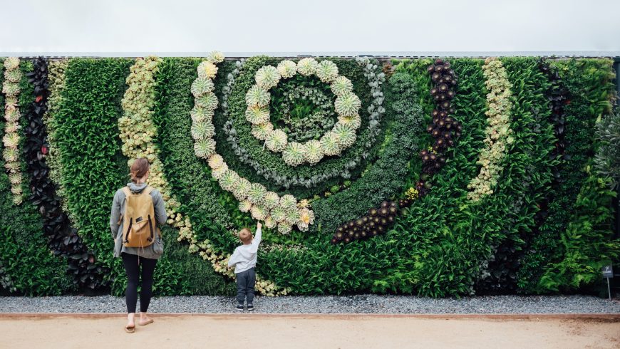 living walls, plants, nature, people
