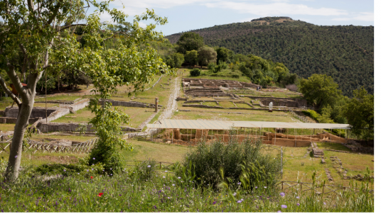 Archeological site of Roselle