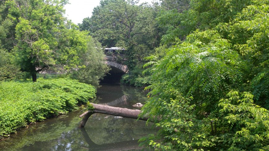 Bronx River Park
