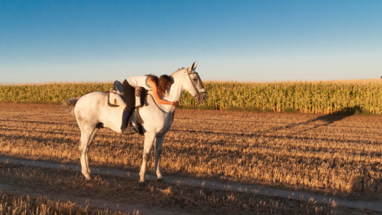 Learn how to horse ride on holiday