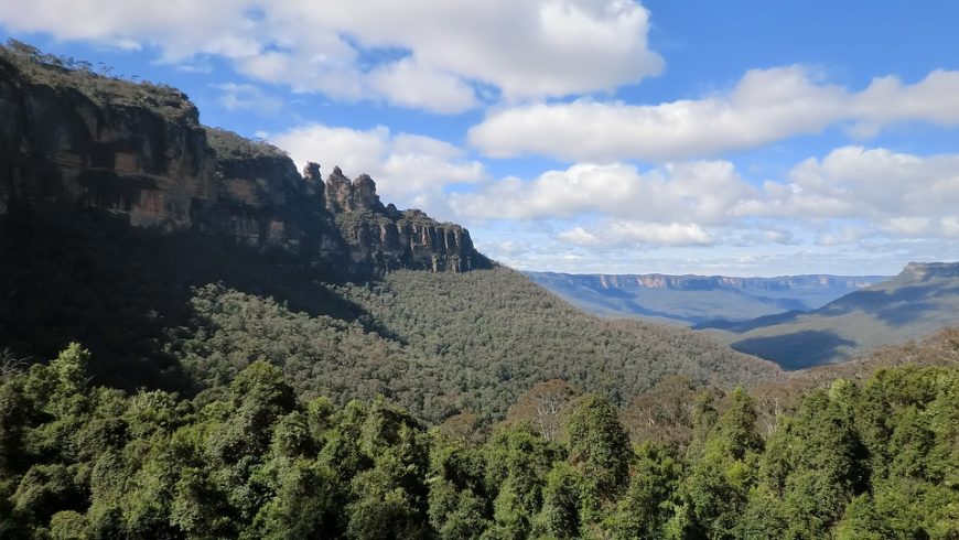 woods and mountains in Australia