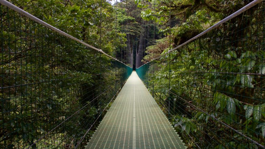 monteverde nature reserve