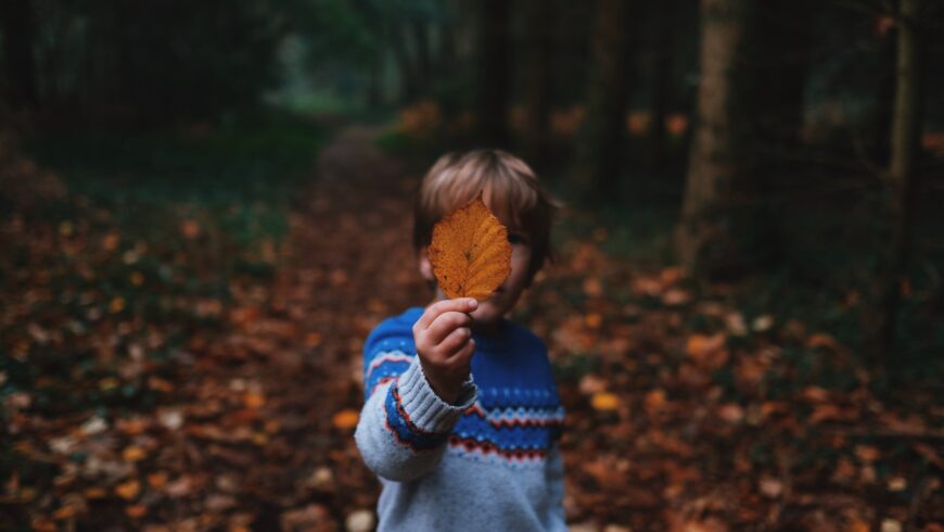 A boy in a Forest holding a leaf