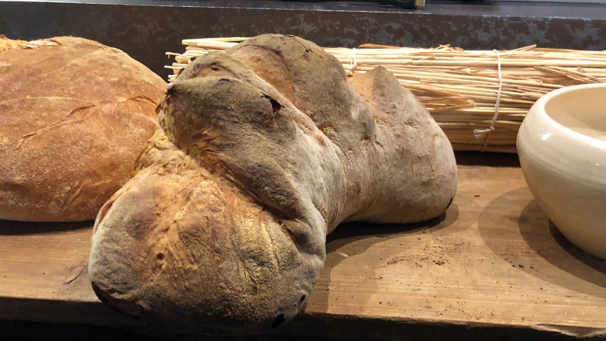 Bread of Matera