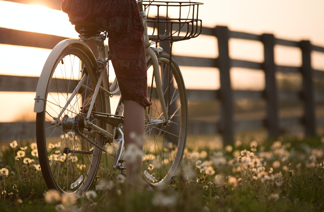 Pedalando una bicicletta