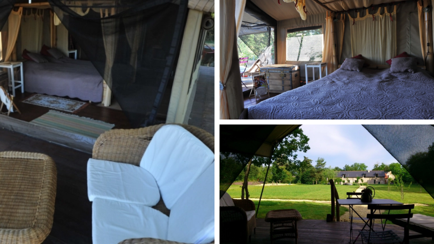 Safari in the Loire Valley