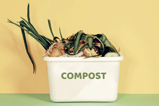 Composting is a sustainable and zero waste way.