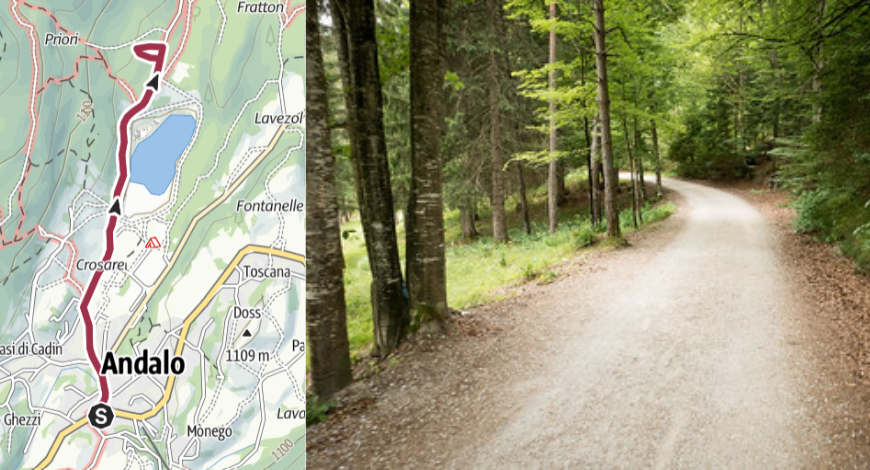 A path to know the forest ecosystem