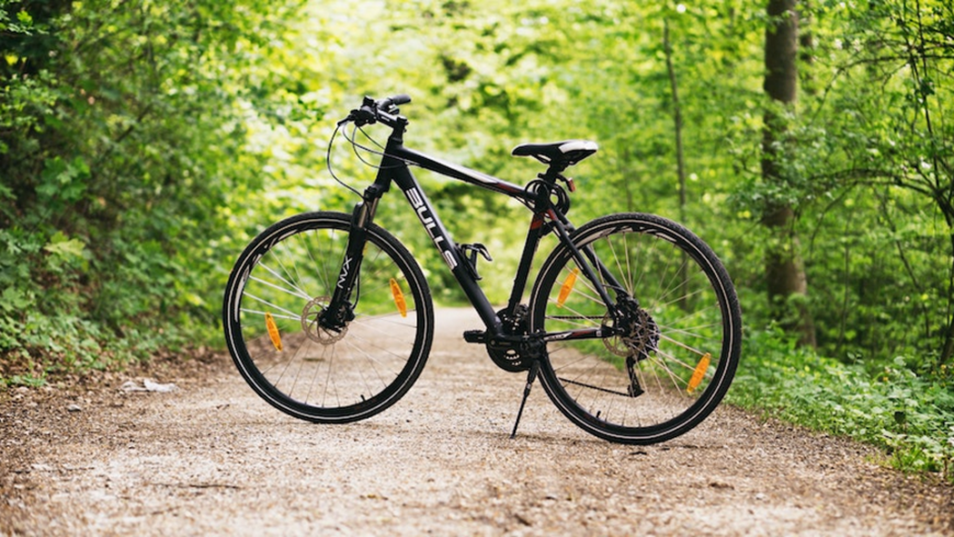 una bici in una foresta durante il giorno