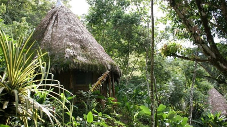 Sleep in an eco-lodge with tree houses in Costa Rica