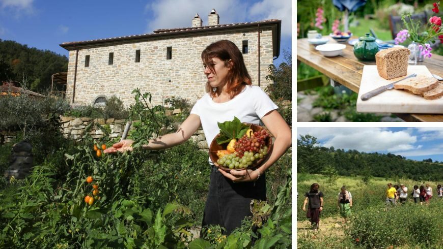 farm in Romagna, Italy 