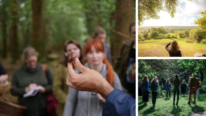 Foraging: a new eco-friendly practice - Ecobnb