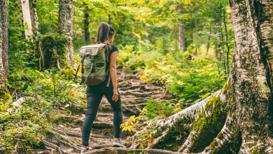 Visitatori su un sentiero segnalato, rispettando habitat e fauna