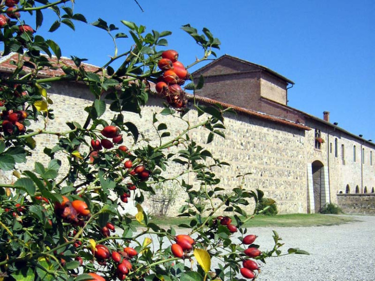 The ancient Giarola Court, Parco del Taro, Parma, Emilia Romagna, Italy