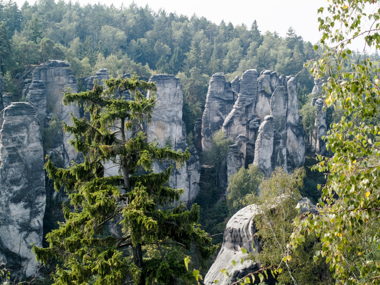 The Prachov Rocks with children, Photo of Prachov Rocks in Bohemian paradise, Czech Republic and trees