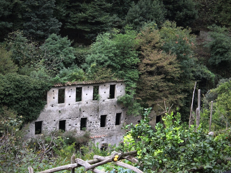The ruins of an old paper mill, reconquered from the trees and nature, Valle delle Ferriere Itinerary, Amalfi Coast.