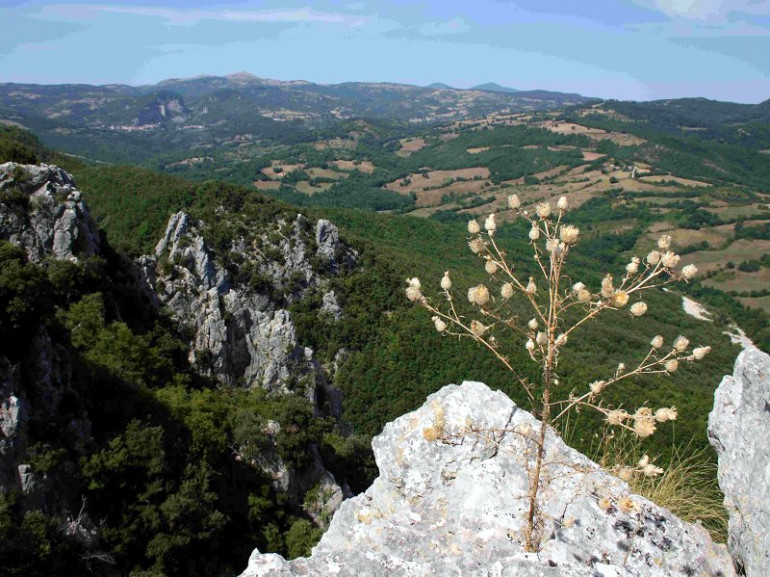 Bosco Rocconi Natural Reserve, Grosseto, Tuscany