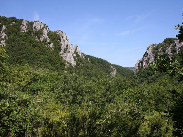 Bosco dei Rocconi Natural Reserve, Grosseto, Tuscany