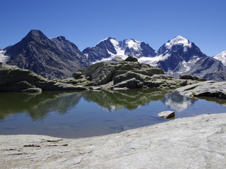 the Bernina mountains with glaciers seen from a small alpine lake