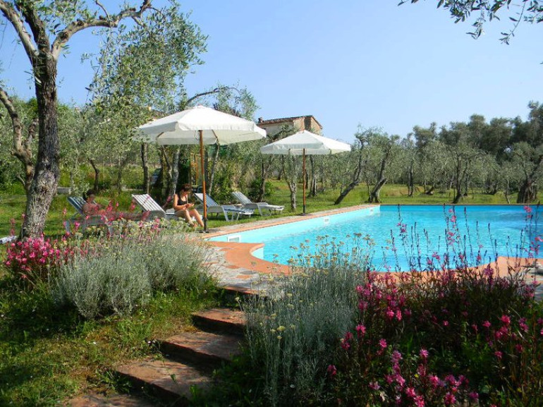 The pool among the olive trees of Villa Gaia, eco-friendly holiday house in Camaiore, Versilia, Tuscany