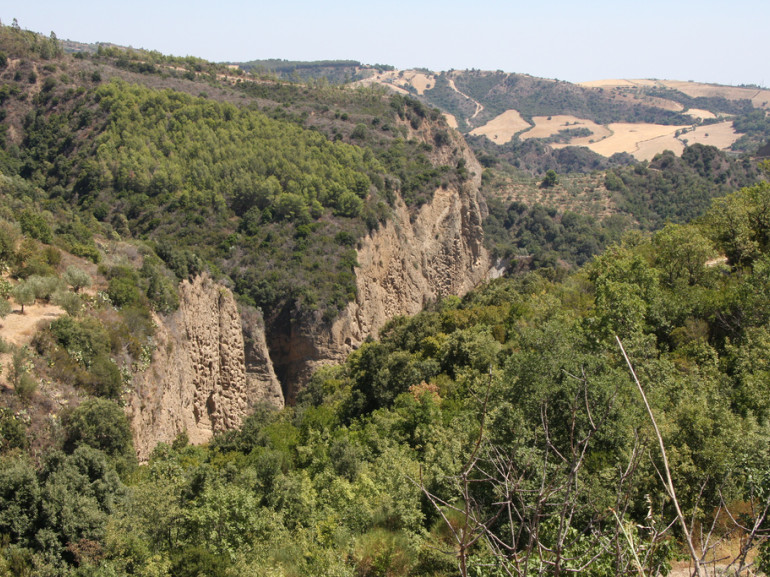 the canyon seen from an alture surrounded by the forest