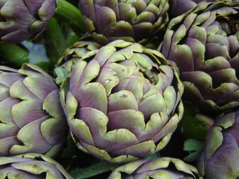 Artichokes, a fresh vegetable very frequent in the Roman cusine.