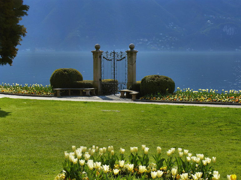 a green field reaches the see of the lake. It is dotted by yellow flowers and there is a gate opening on the water