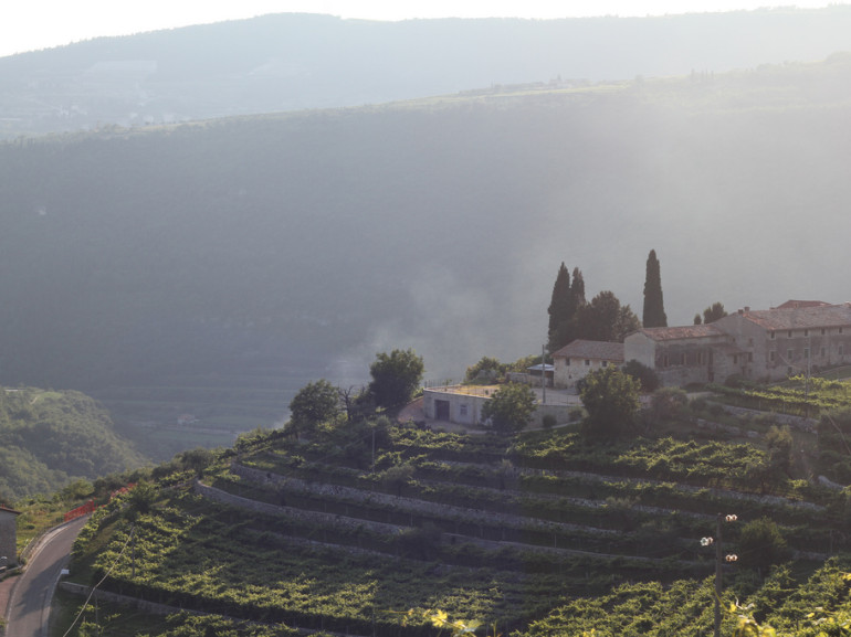 View on Valpolicella in the evening