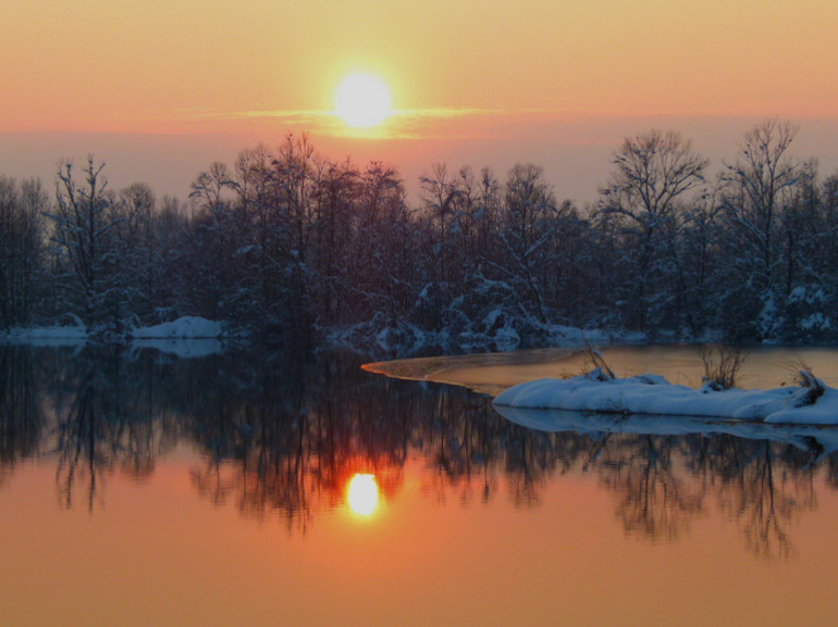 the river at the sunset during winter surrounded by trees with snow