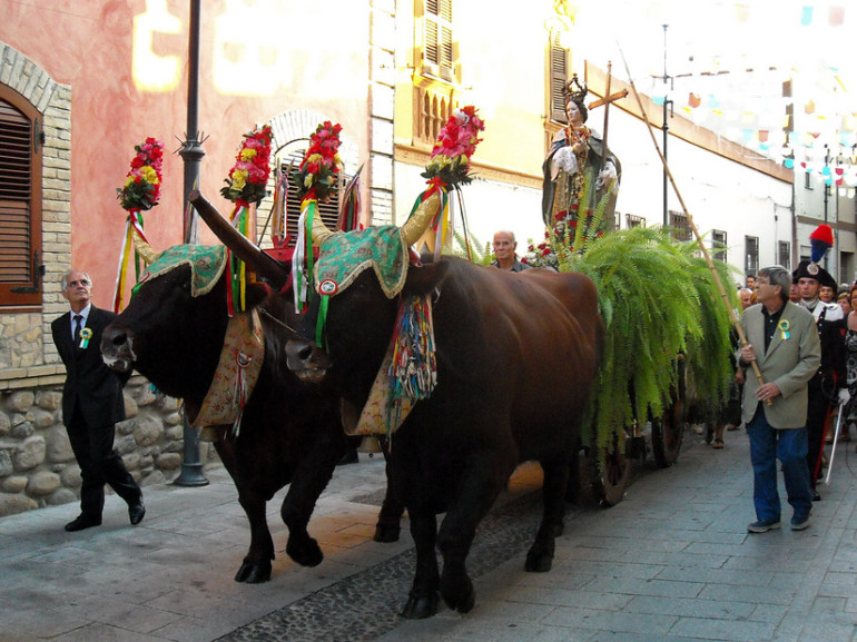 celebrations along the street of a village: two cows have been decorated with flowers