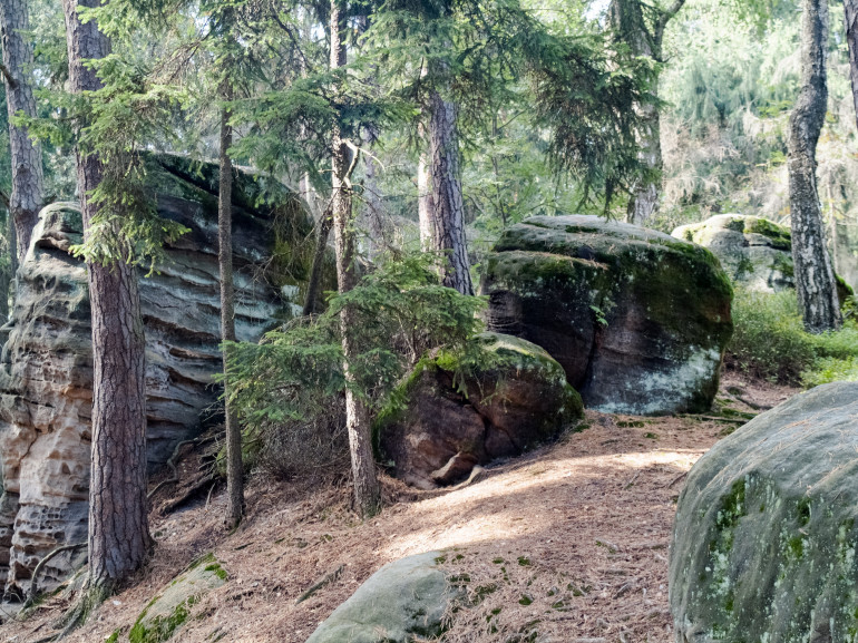 The Prachov Rocks with children. Photo of Prachov rocks in Bohemian paradise, Czech Republic. Detail of rocks in the forest 