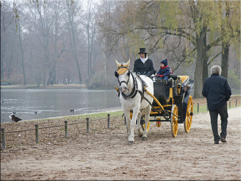 horse-riding in tha park around a small lake