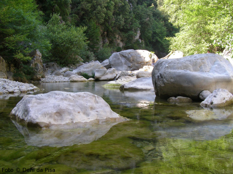 Swim in the clear waters of the river, Bosco dei Rocconi natural reserve, Tuscany, Italy