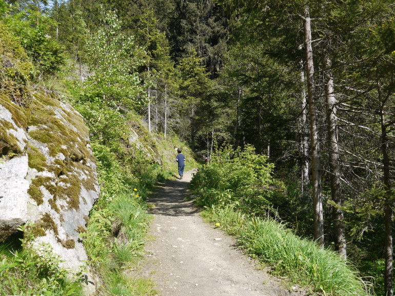 Ahrntal path to Schwarzbach Waterfall from Lutago