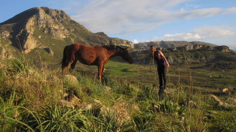A girl feeding a horse, in the background mountains and forests