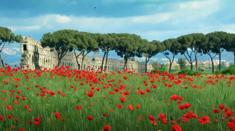 The ruins of Rome surrounded by greenery and poppies in spring.